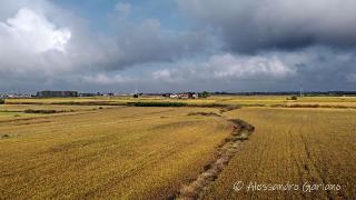 DJI_0056