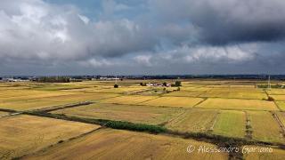 DJI_0059