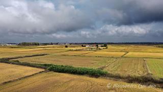 DJI_0061