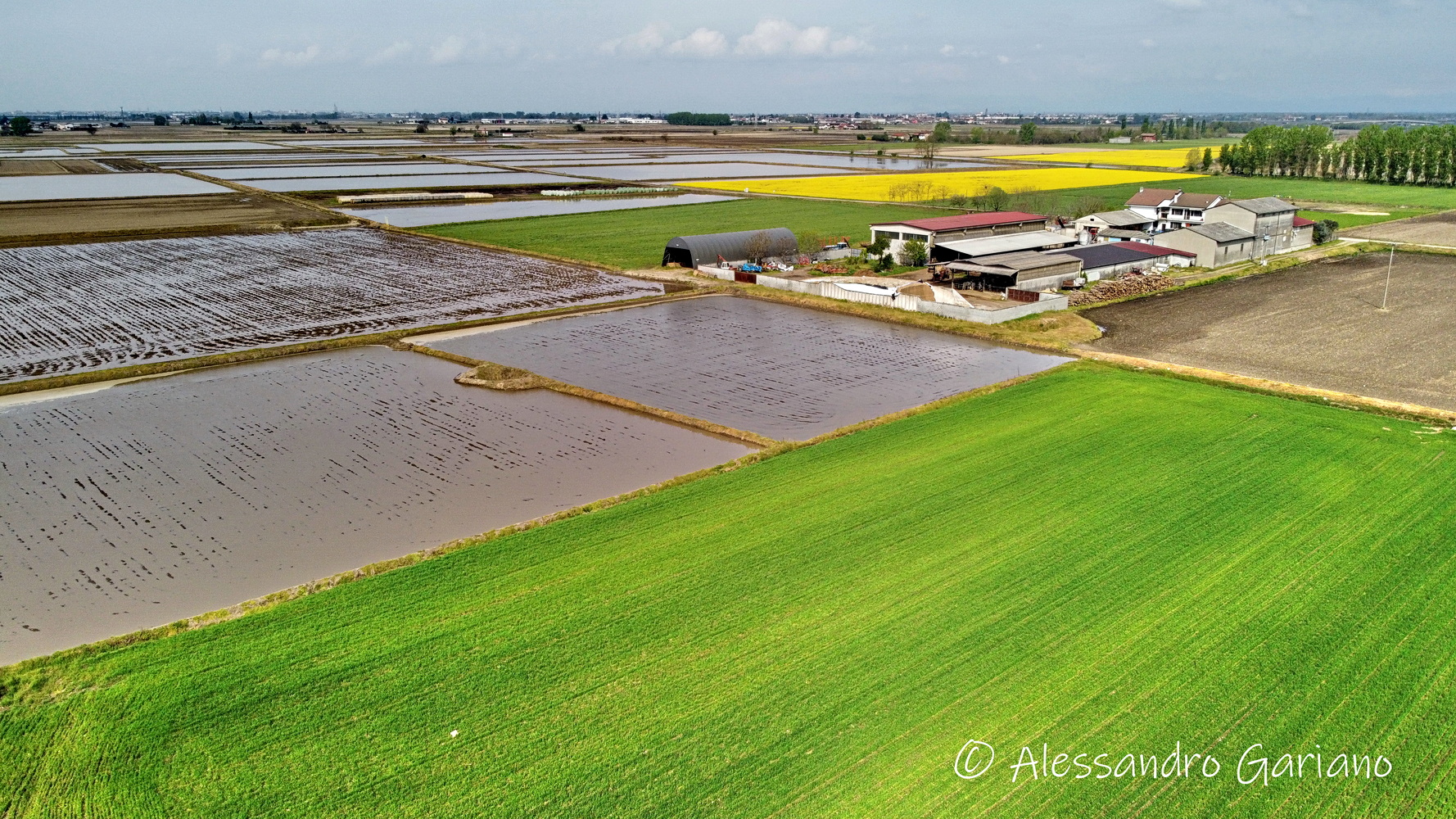 DJI_0004
