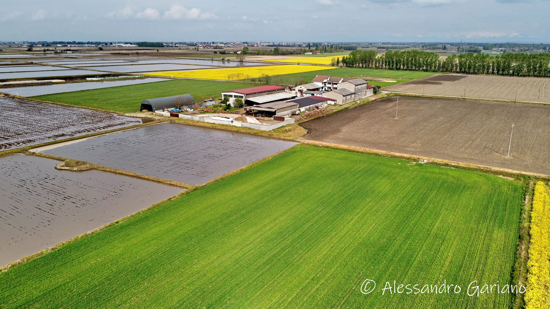 DJI_0005