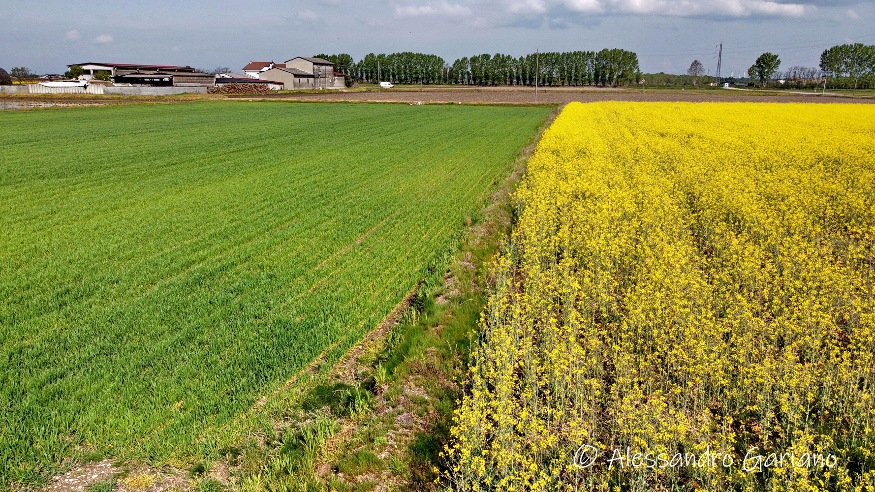 DJI_0077