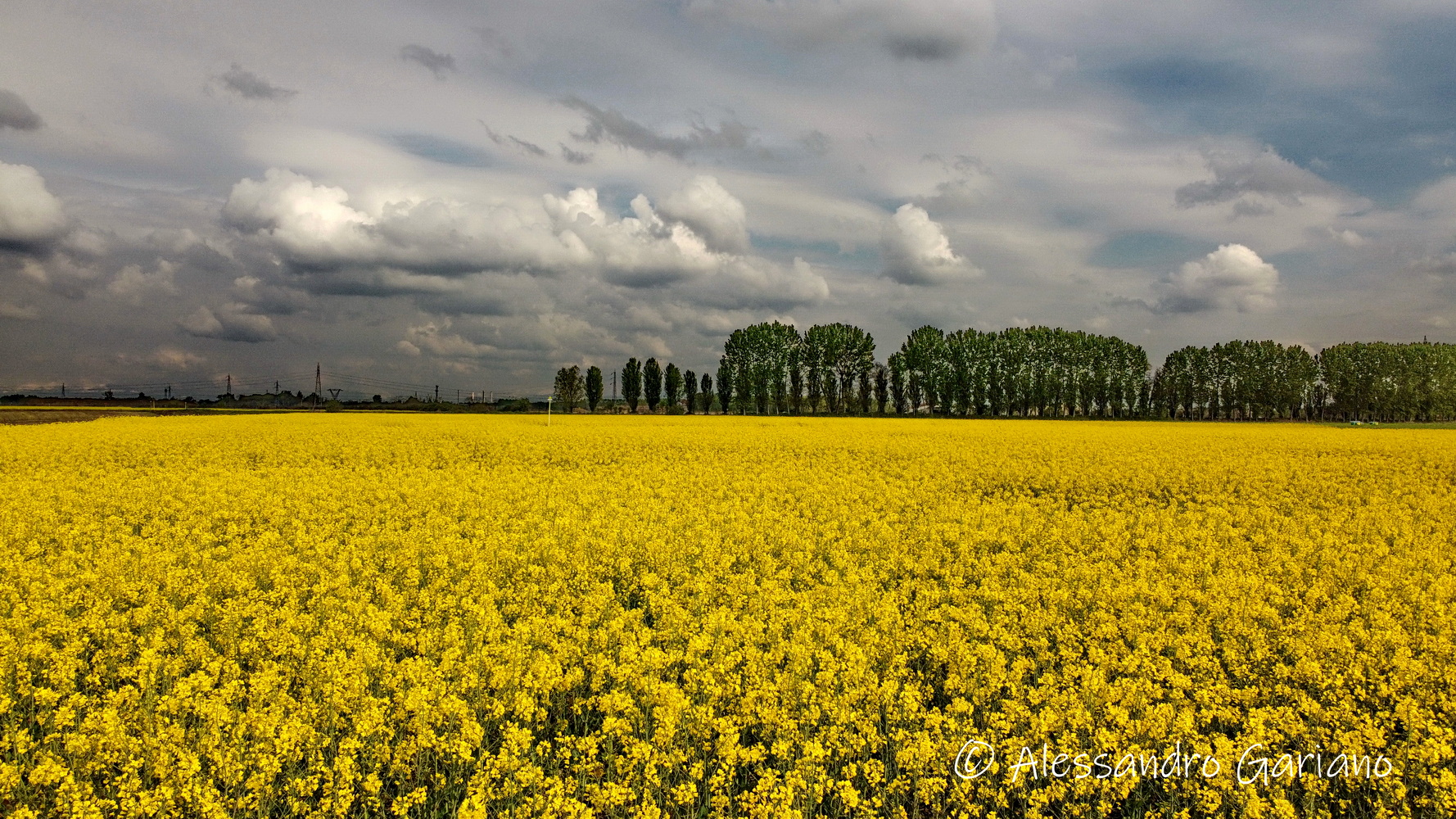 DJI_0089