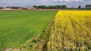 DJI_0077