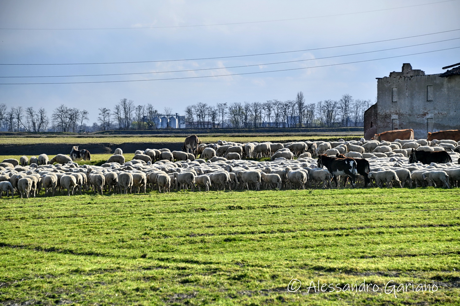 DSC_00085