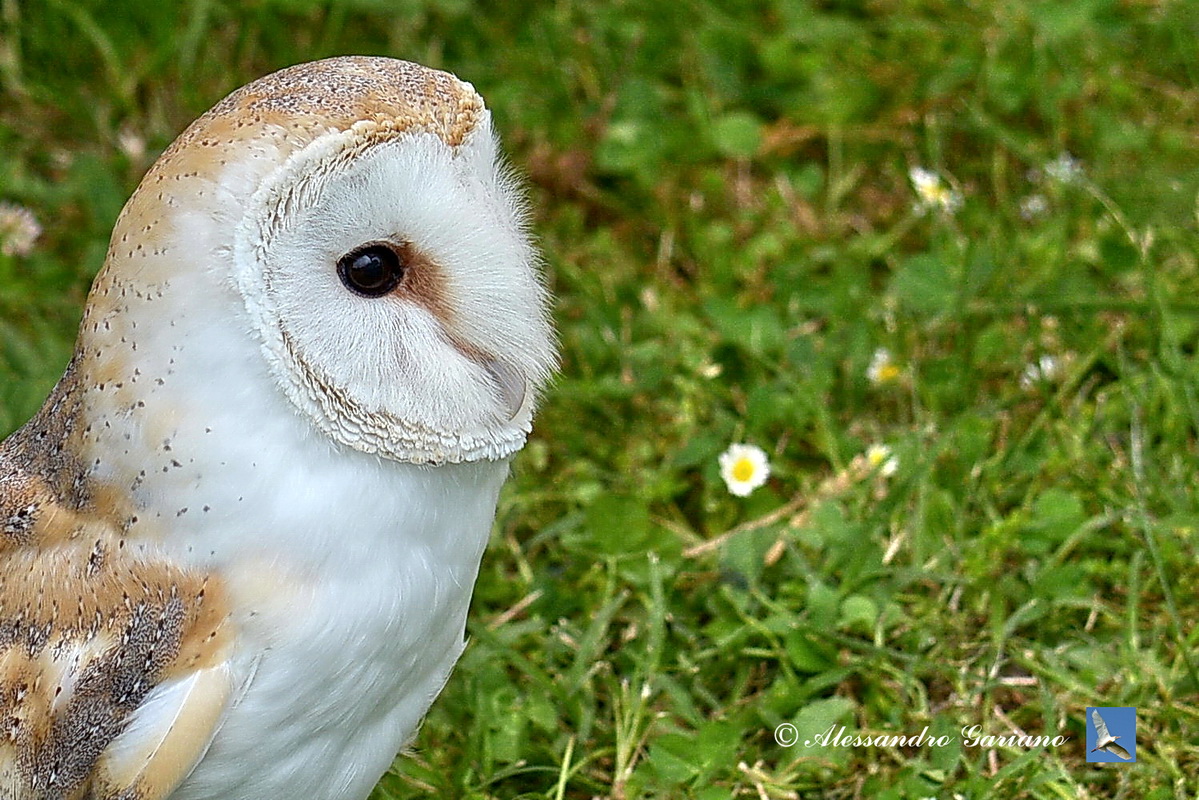 Foto 045 di 123
