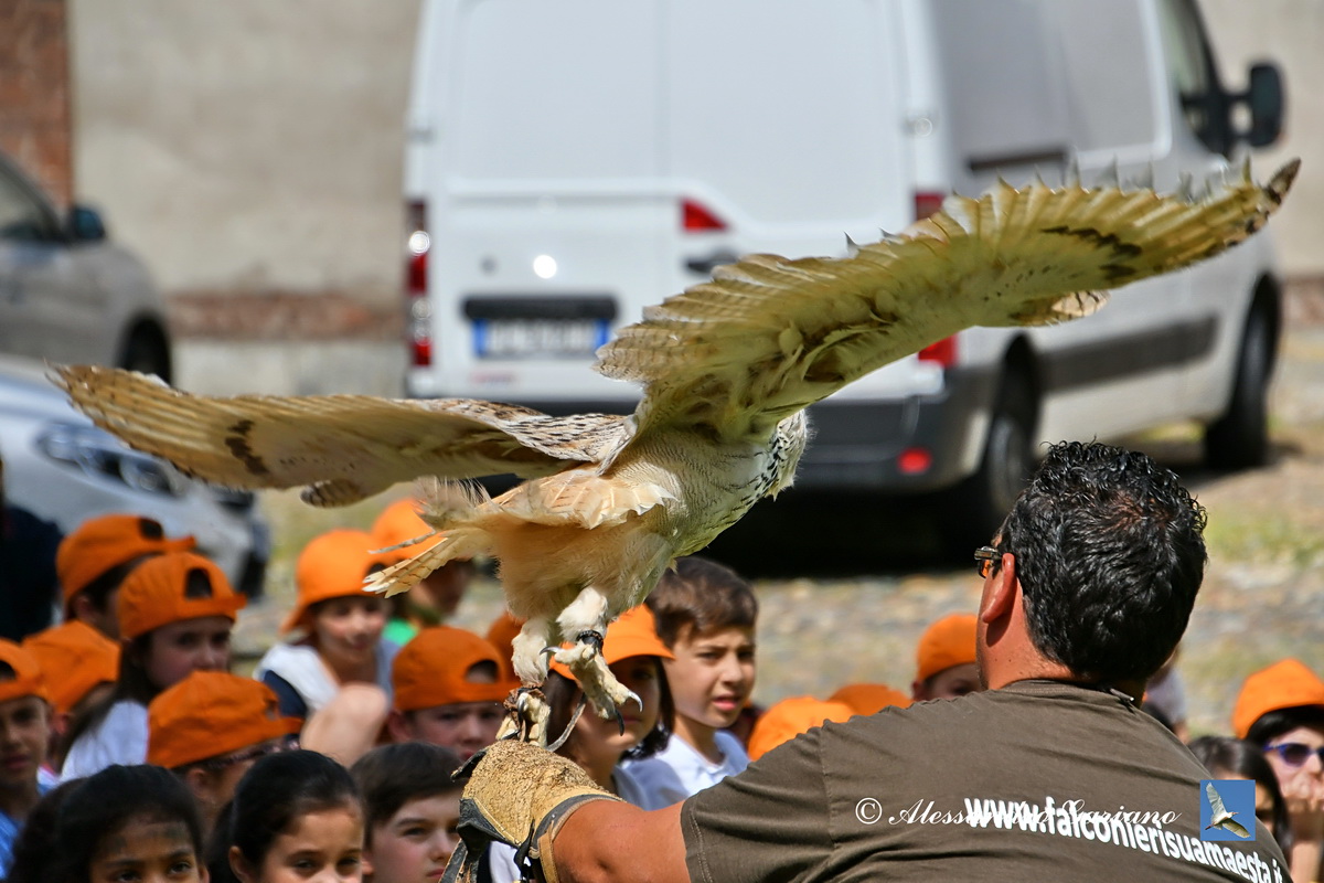 Foto 086 di 122
