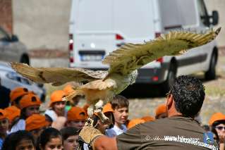 Foto 086 di 122
