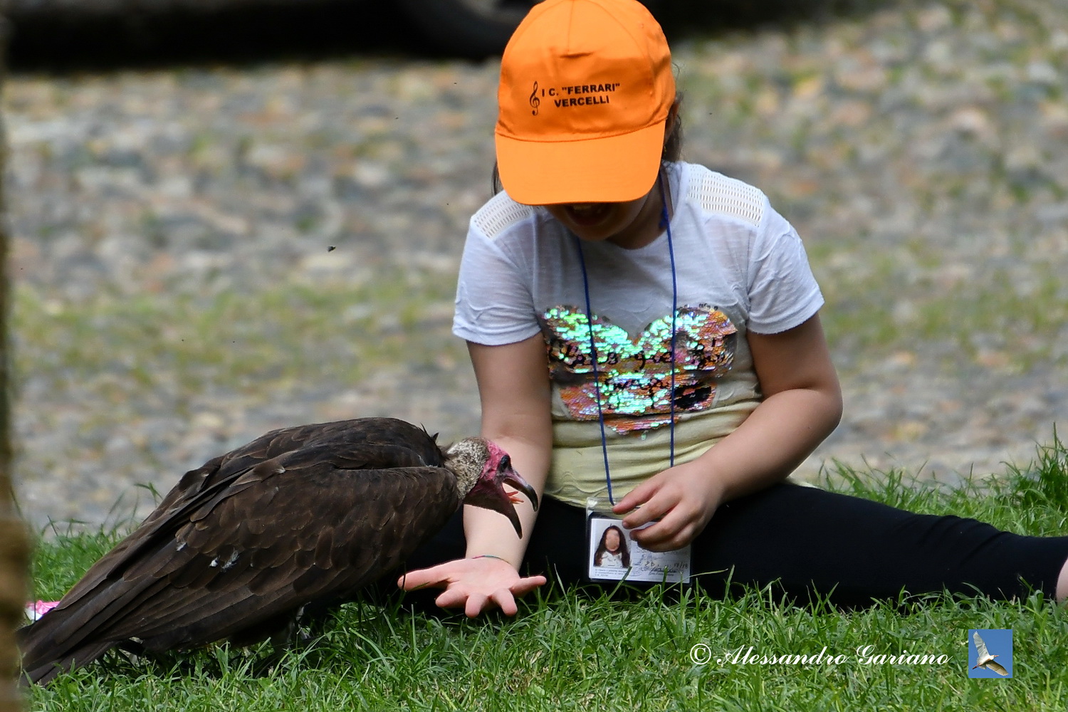 Foto 068 di 168