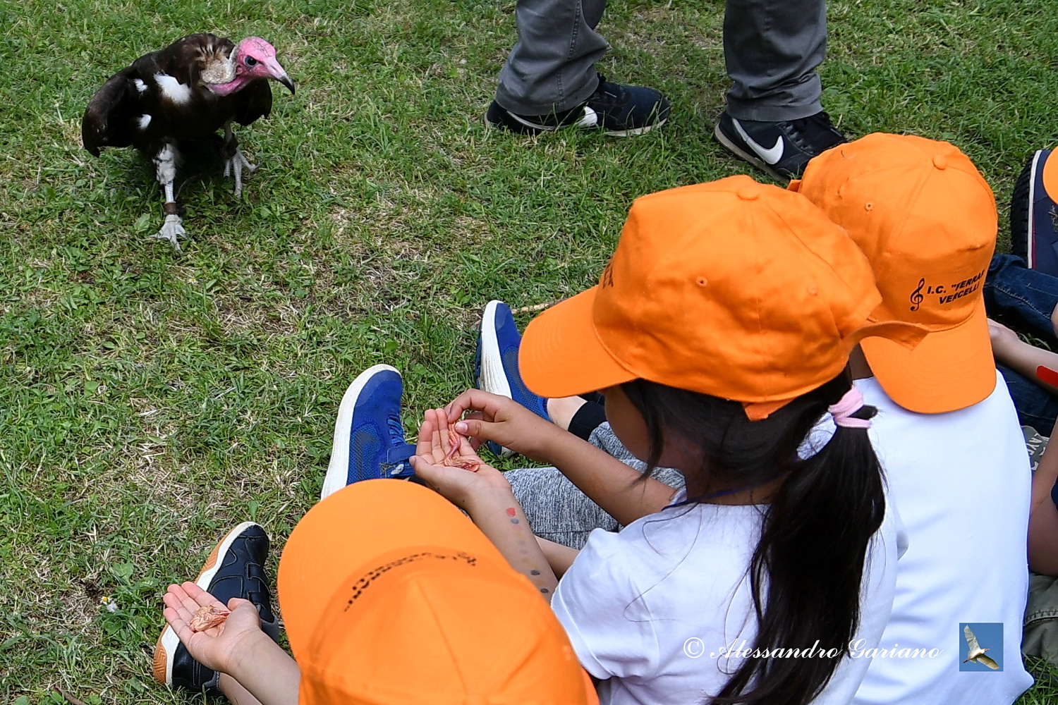 Foto 088 di 168