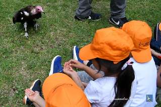 Foto 088 di 168