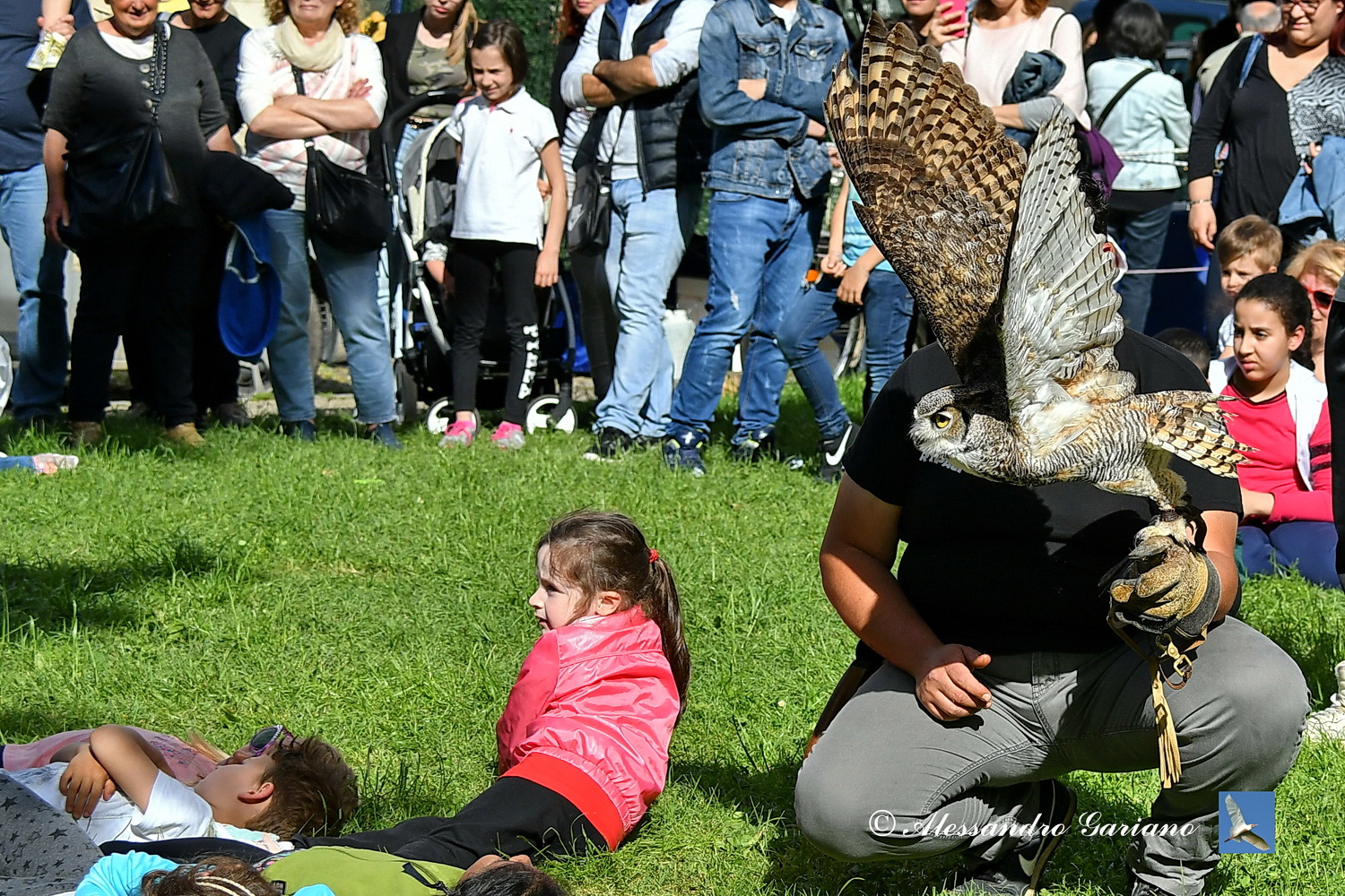 Foto 026 di 118