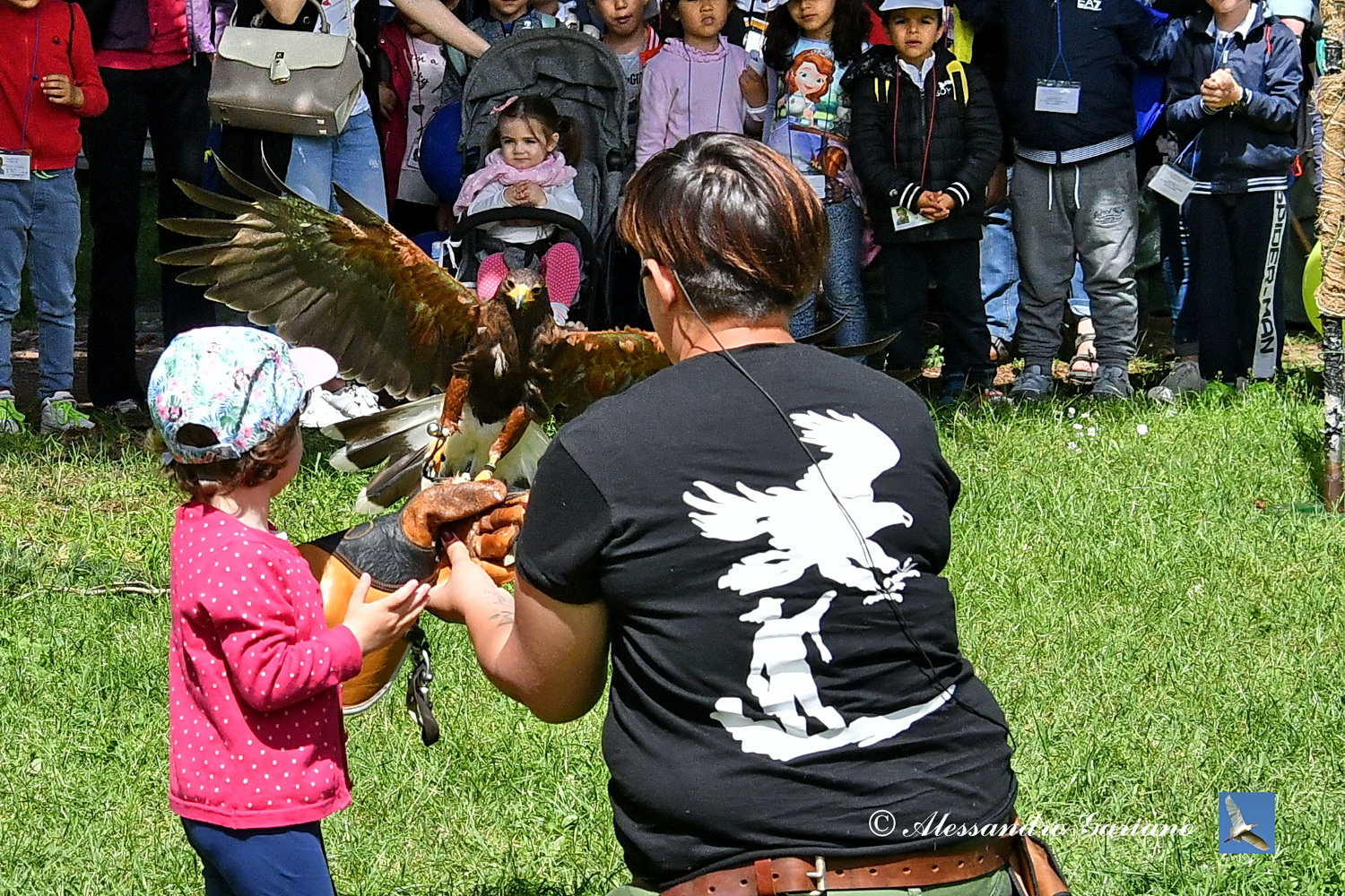 Foto 008 di 146