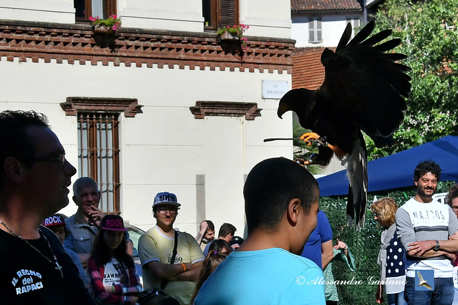 Foto 055 di 146