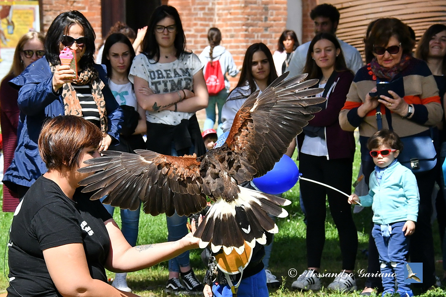 Foto 093 di 146
