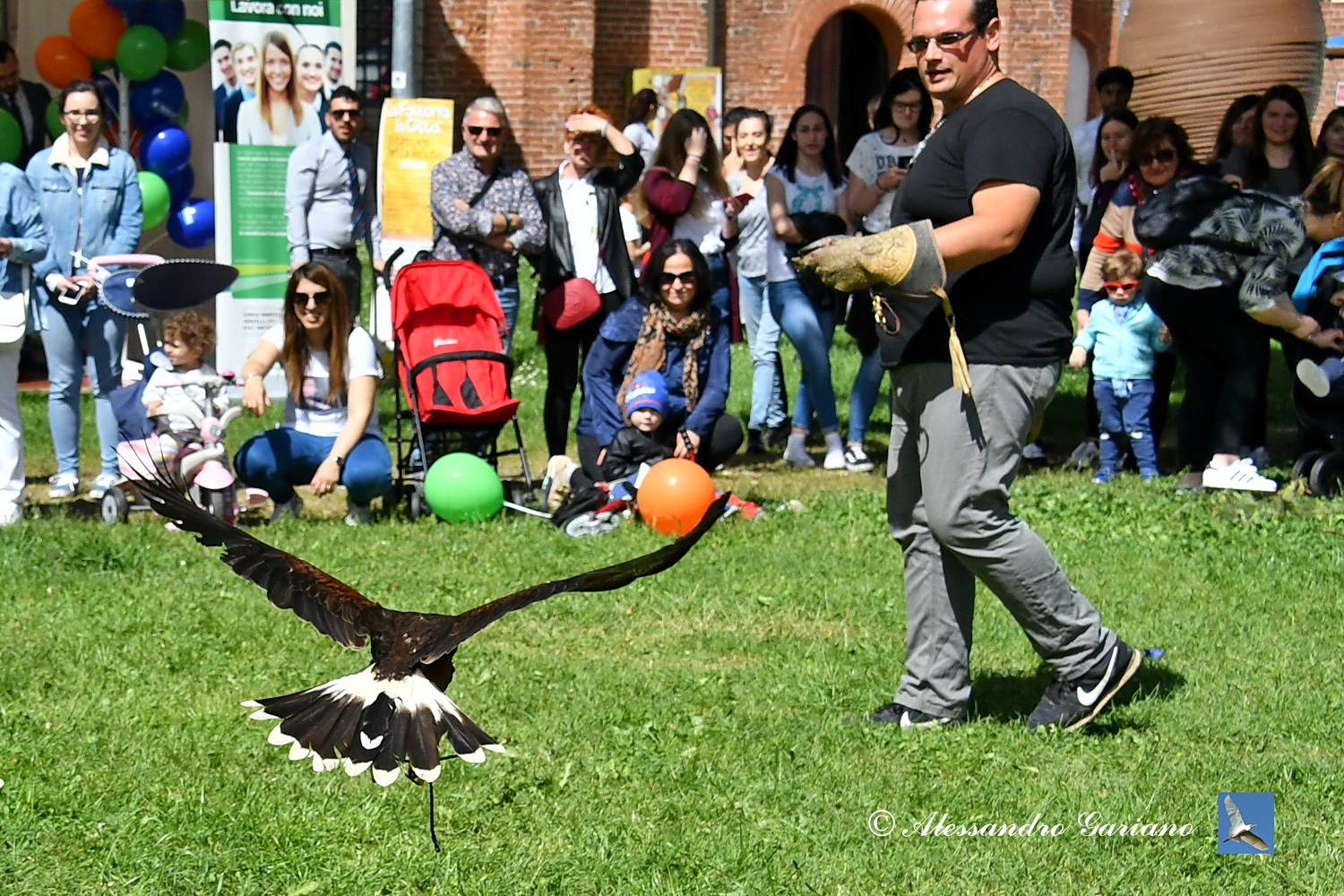 Foto 110 di 146