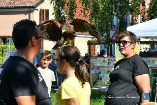 Foto 054 di 146