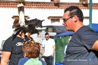 Foto 070 di 146