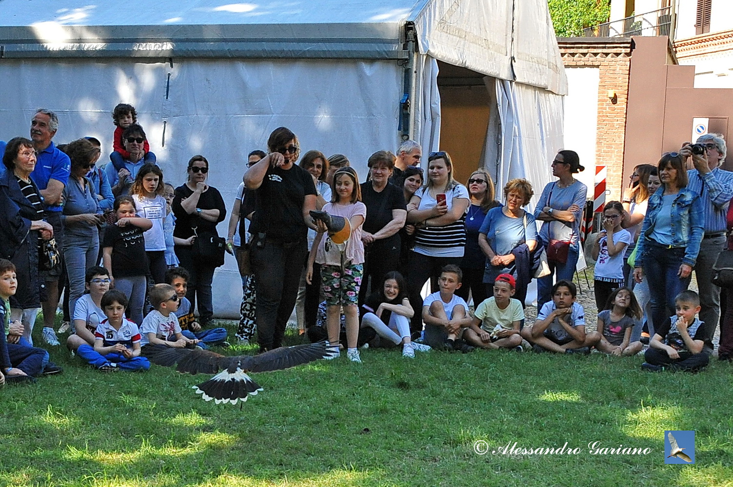 Foto 087 di 108