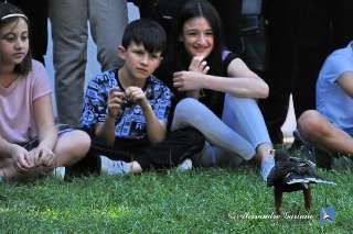 Foto 088 di 108
