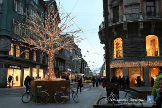Foto 117 di 152