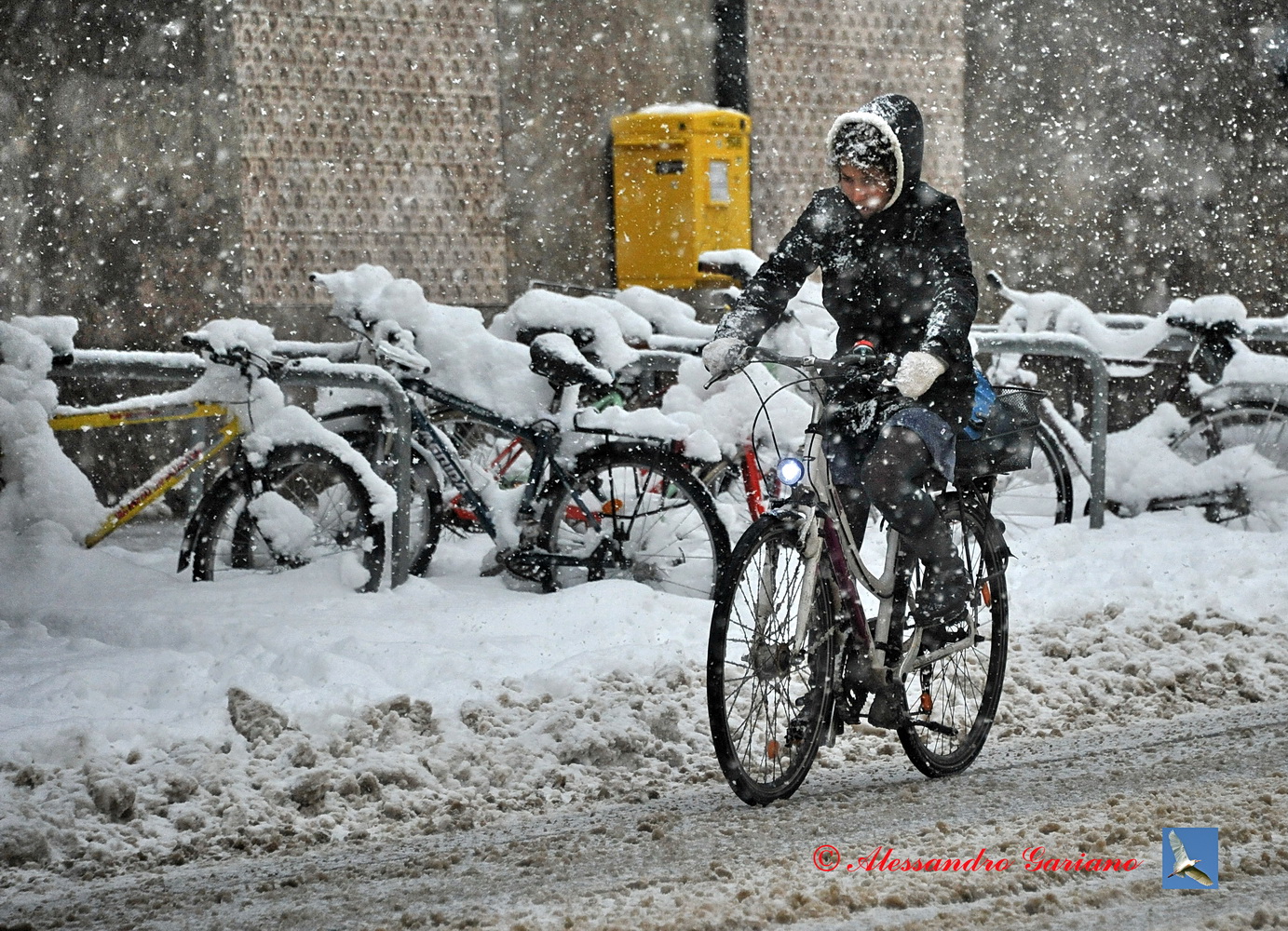 Foto 005 di 129