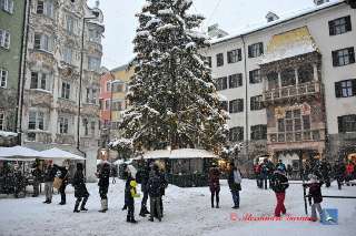 Foto 102 di 129