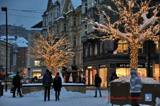 Foto 22 di 78