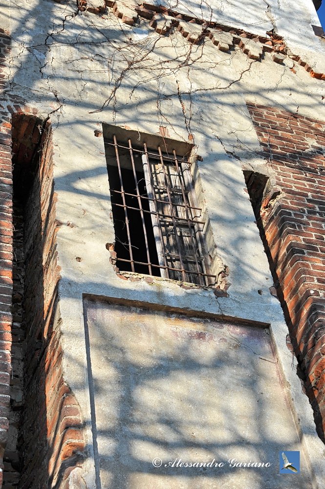 Foto 19 di 78