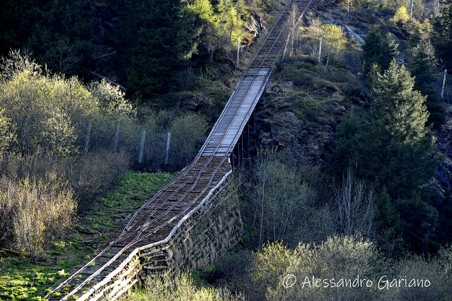 Foto 44 di 93