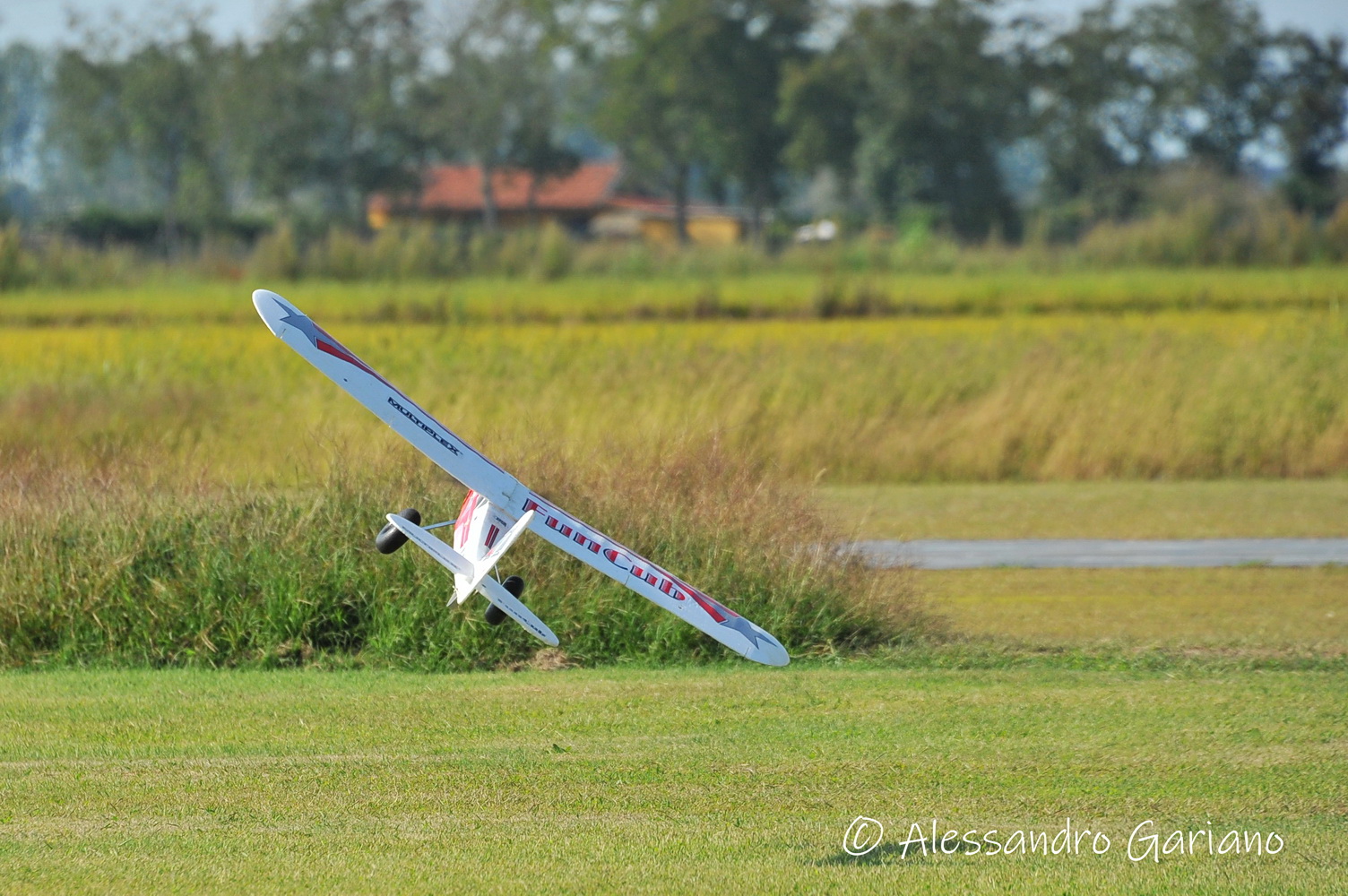 DSC_0061