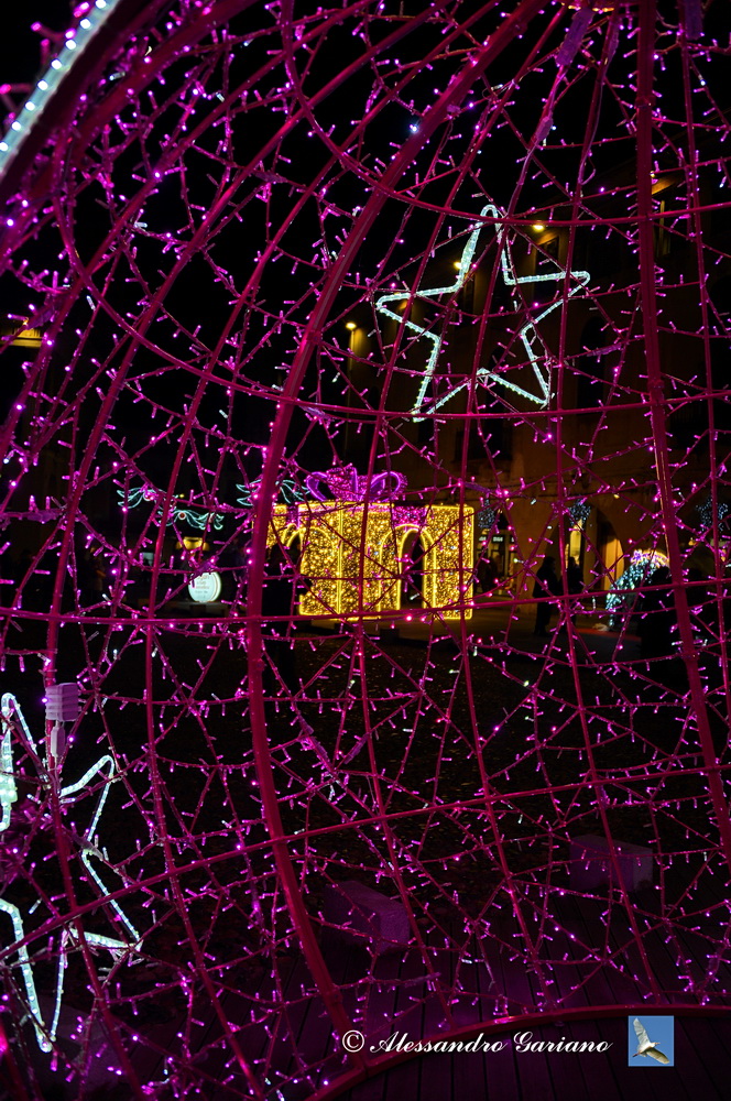 DSC_0041