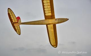 DSC_0083