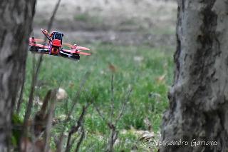 DSC_00096