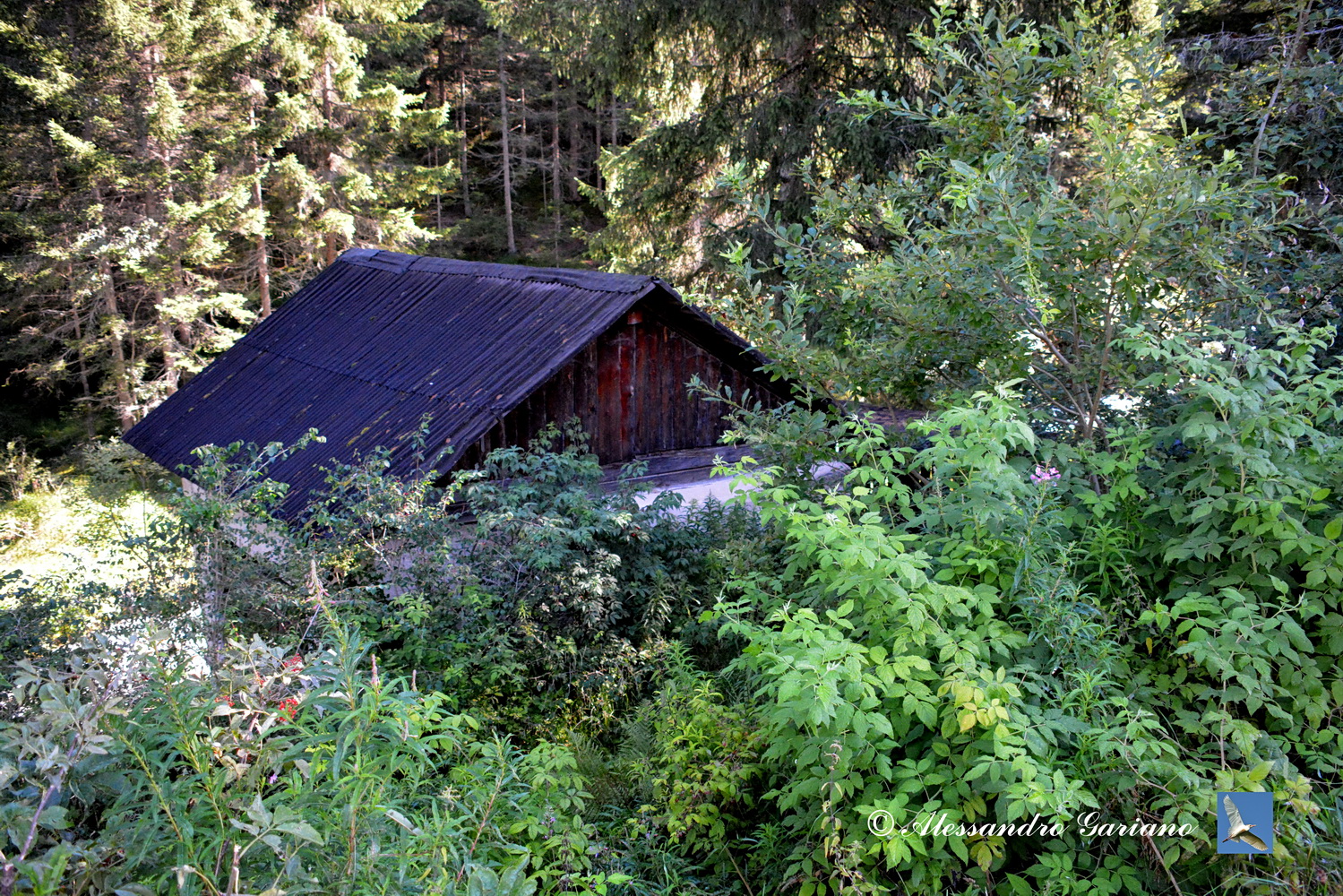 Foto 16 di 88