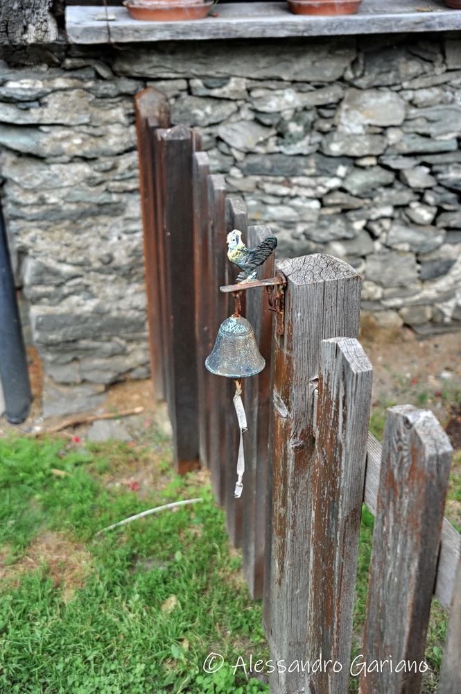 DSC_0065