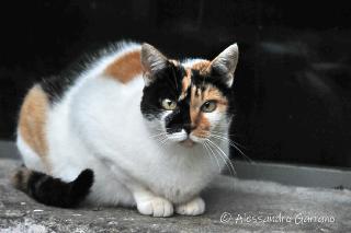 DSC_0119