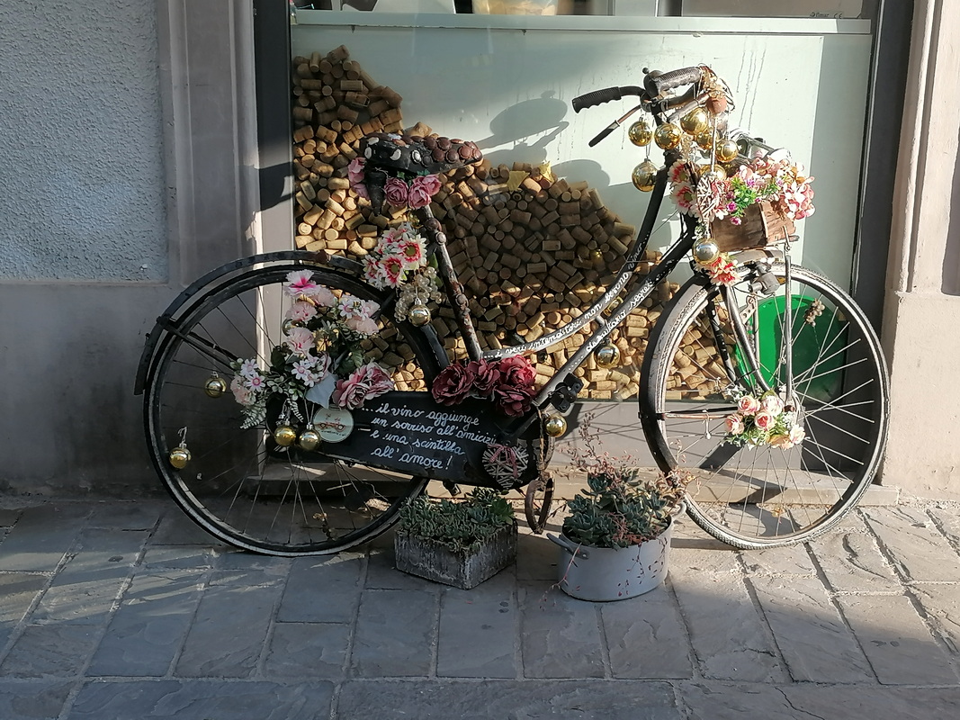 Foto 15 di 23