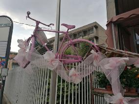 Foto 12 di 23