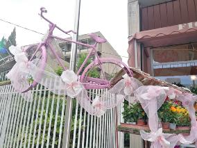 Foto 13 di 23