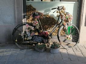 Foto 15 di 23