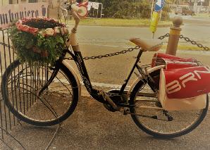 Foto 17 di 23