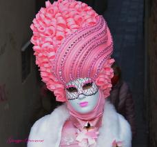 Foto 246 di 257