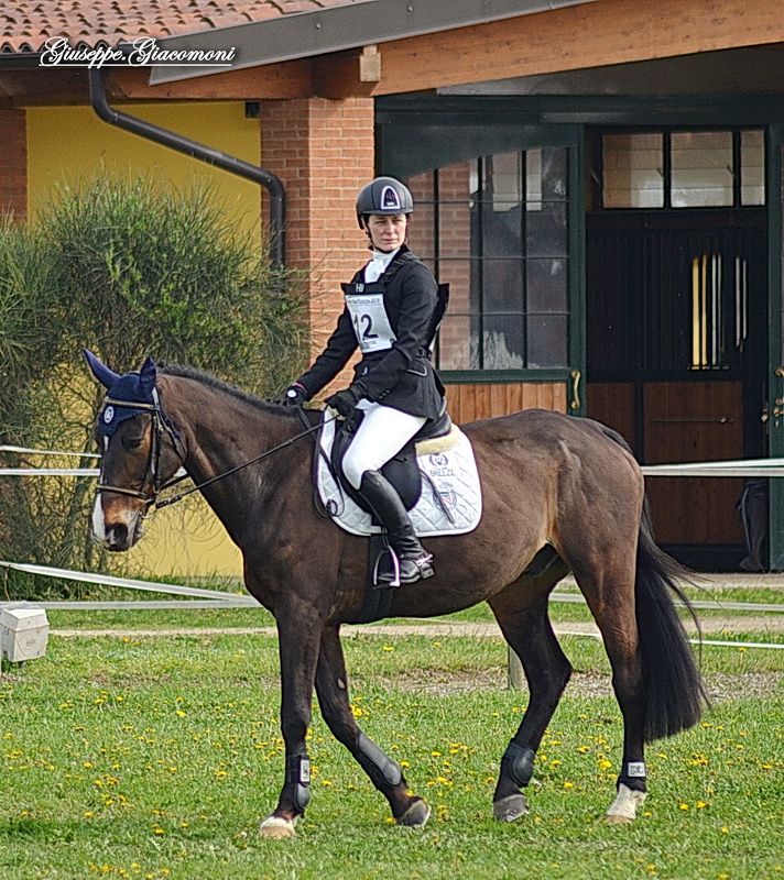 Foto 48 di 75