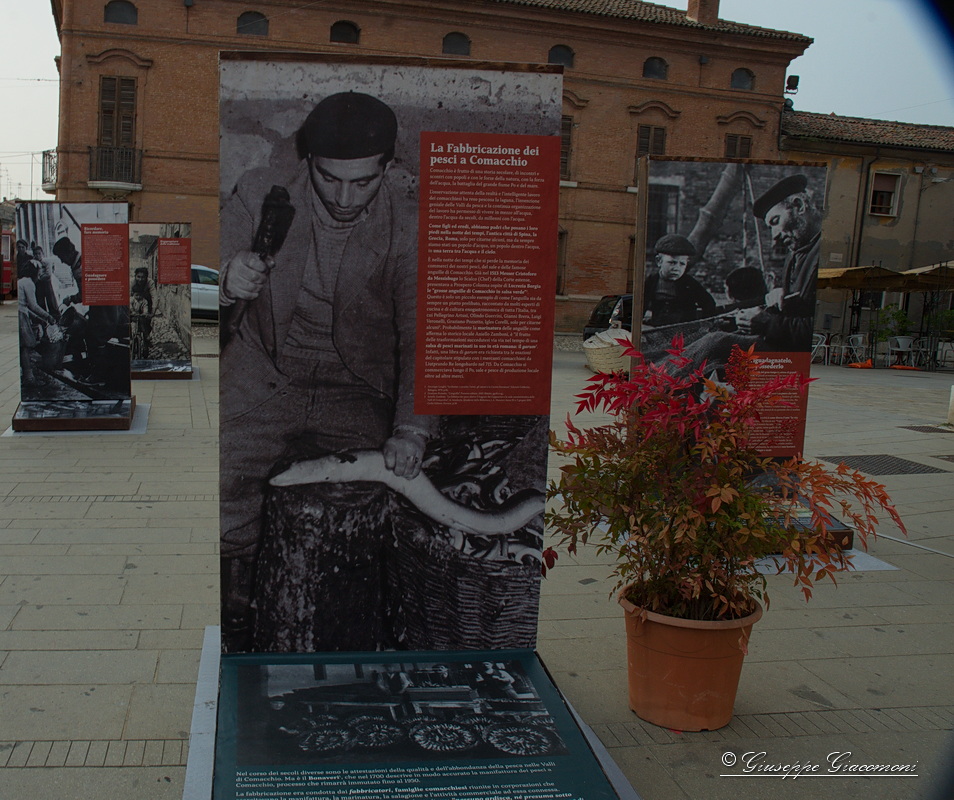 Foto 028 di 206