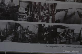 Foto 024 di 206
