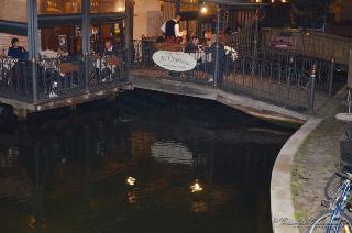 Foto 080 di 206