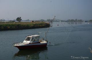 Foto 103 di 206