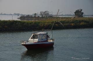 Foto 106 di 206