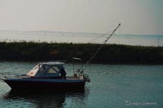 Foto 107 di 206